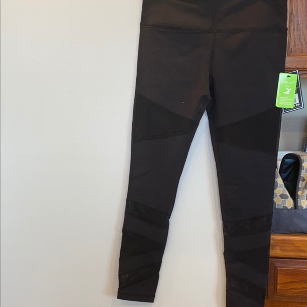 Glyder Limitless Leggings